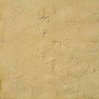 Zahradní obrubník SEMMELROCK STEIN + DESIGN SEMMELROCK Bradstone Old Town obrubník 60 x 4 x 15 cm pískovcová