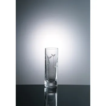 Sklenice Bohemia Crystal Sklenice na lihoviny 50 ml dekor ELEGANCE, 6 ks (Ručně broušené skleničky)