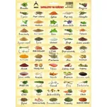 Arch Zlín Samolepící etikety na kořenky Nostalgie 2