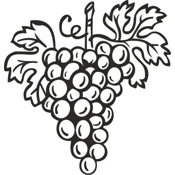 Obraz HROZEN VÍNA pískování obrázku (Pískování obrázku na sklo z naší nabídky)