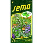 SEMO Pestré léto květinový koberec 6 g