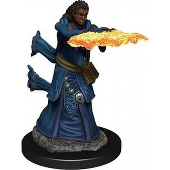 Desková hra WizKids D&D Miniatures: Icons of the Realms - Human Wizard Female