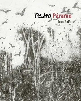 Pedro Páramo - Juan Rulfo (2020, vázaná s přebalem)