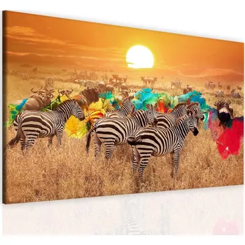 Obraz Malvis ® Obraz Kouzlo Afriky Velikost: 90x60 cm