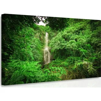 Obraz Malvis ® Obraz na stěnu Vodopád v lese Velikost: 60x40 cm