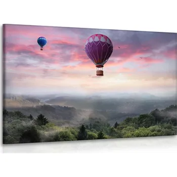 Malvis ® Obraz balóny nad lesem Velikost (šířka x výška): 90x60 cm