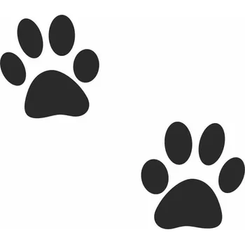 Samolepicí dekorace na vozidlo Kočičí tlapky 156 x 138 mm