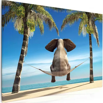 Obraz Malvis ® Vtipný slon na pláži Velikost: 40x30 cm