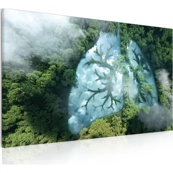 Obraz Malvis ® Obraz Plíce země Velikost (šířka x výška): 50x30 cm