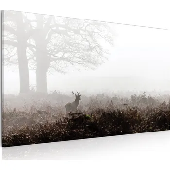 Obraz Malvis ® Obraz Jelen v mlze Velikost (šířka x výška): 50x30 cm