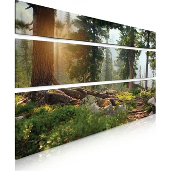 Obraz Malvis ® Vícedílný obraz Procházka lesem Velikost (šířka x výška): 130x80 cm