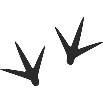 Samolepící dekorace Slepičí krok 200 x 154 mm