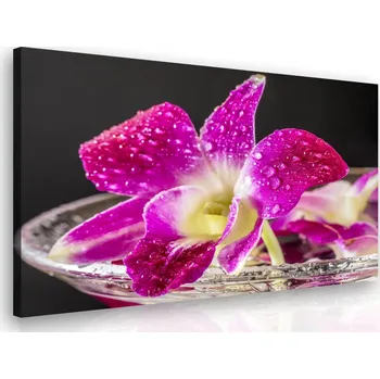 Malvis ® Obraz - orchidej fialová Velikost: 90x60 cm
