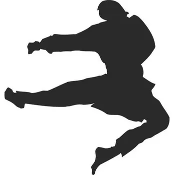Samolepicí dekorace na vozidlo SI0110090F - karate - 160 x 169 mm doleva