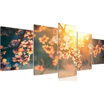 Obraz Malvis ® Vícedílný obraz Kvetoucí třešeň Velikost (šířka x výška): 100x50 cm
