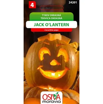 Semeno Tykev okrasná - Jack O'Lantern