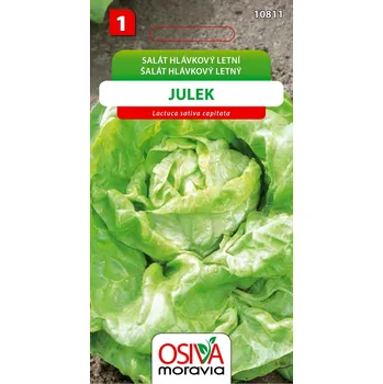 Semeno Salát hlávkový - Julek