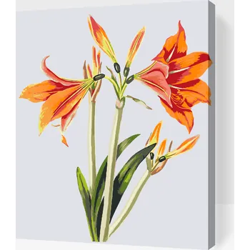 Malování podle čísel - Vintage lilie Velikost: 40x50cm, Rámování: Pouze srolované plátno