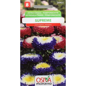 Semeno Astra čínská - pomponkovité - Supreme