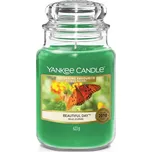 Yankee Candle Vonná svíčka Beautiful…