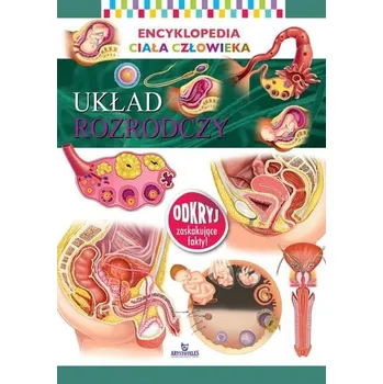 První čtění UKŁAD ROZRODCZY ENCYKLOPEDIA CIAŁA CZŁOWIEKA - opracowanie zbiorowe