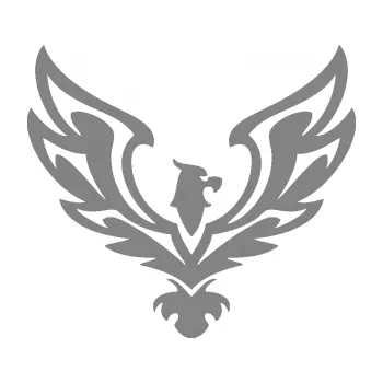 Samolepící dekorace SAMOLEPKA Orlice 010 pravá (17 - šedá) NA AUTO, NÁLEPKA, FÓLIE, POLEP, TUNING, VLASTNÍ TEXT, TISK, AUTOSAMOLEPKY.cz, POLEPY, OBRÁZEK, LOGO, SAMOLEPKY