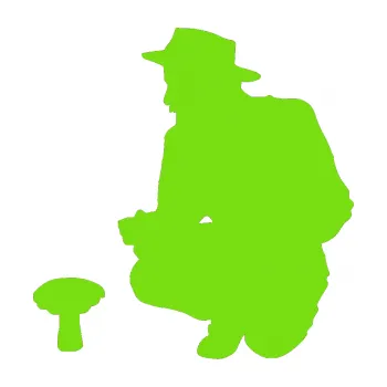 Samolepicí dekorace na vozidlo Houbař 001 levá (04 - zelená kawasaki) SAMOLEPKA NA AUTO, NÁLEPKA, FÓLIE, POLEP, TUNING, VLASTNÍ TEXT, TISK, AUTOSAMOLEPKY.cz, POLEPY, OBRÁZEK, LOGO, 3D STICKERS