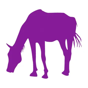 Samolepící dekorace SAMOLEPKA Kůň 008 levá (14 - fialová) NA AUTO, NÁLEPKA, FÓLIE, POLEP, TUNING, VLASTNÍ TEXT, TISK, AUTOSAMOLEPKY.cz, POLEPY, OBRÁZEK, LOGO, SAMOLEPKY