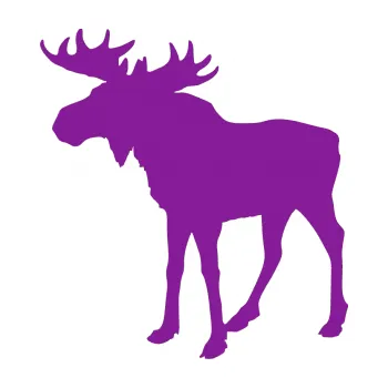 Samolepící dekorace Los 002 levá (14 - fialová) SAMOLEPKA NA AUTO, NÁLEPKA, FÓLIE, POLEP, TUNING, VLASTNÍ TEXT, TISK, AUTOSAMOLEPKY.cz, POLEPY, OBRÁZEK, LOGO, 3D STICKERS