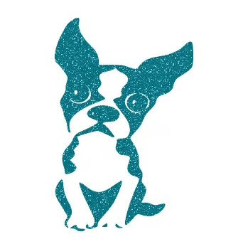 Polep vozidla SAMOLEPKA NA AUTO Pes 135 levá bostonský teriér (92 - Ultra Metalic tyrkysová) NÁLEPKA, FÓLIE, POLEP, TUNING, VLASTNÍ TEXT, TISK, AUTOSAMOLEPKY.cz, POLEPY, OBRÁZEK, LOGO, SAMOLEPKY