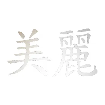 Polep vozidla SAMOLEPKA Čínský znak Beautiful (82 - odrazková reflexní bílá) NA AUTO, NÁLEPKA, FÓLIE, POLEP, TUNING, VLASTNÍ TEXT, TISK, AUTOSAMOLEPKY.cz, POLEPY, OBRÁZEK, LOGO, SAMOLEPKY