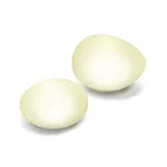 Esotec Flintstone 102084