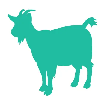 Samolepící dekorace SAMOLEPKA Koza 001 levá (25 - tyrkysová) NA AUTO, NÁLEPKA, FÓLIE, POLEP, TUNING, VLASTNÍ TEXT, TISK, AUTOSAMOLEPKY.cz, POLEPY, OBRÁZEK, LOGO, SAMOLEPKY