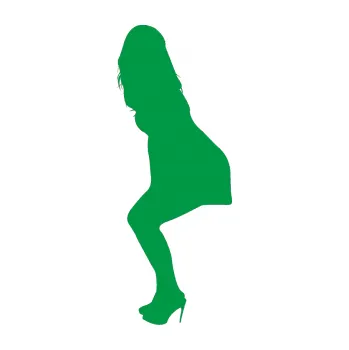 Polep vozidla Erotická žena 043 levá (12 - zelená) SAMOLEPKA NA AUTO, NÁLEPKA, FÓLIE, POLEP, TUNING, VLASTNÍ TEXT, TISK, AUTOSAMOLEPKY.cz, POLEPY, OBRÁZEK, LOGO, 3D STICKERS