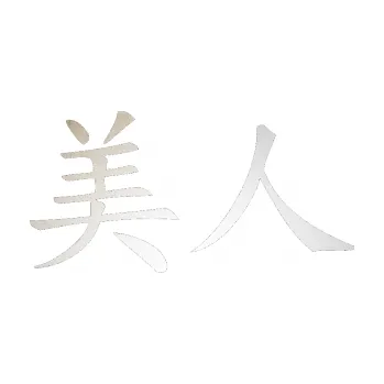 Polep vozidla SAMOLEPKA Čínský znak Beauty (82 - odrazková reflexní bílá) NA AUTO, NÁLEPKA, FÓLIE, POLEP, TUNING, VLASTNÍ TEXT, TISK, AUTOSAMOLEPKY.cz, POLEPY, OBRÁZEK, LOGO, SAMOLEPKY