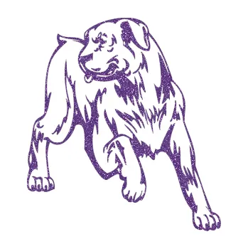 Polep vozidla SAMOLEPKA Pes 020 pravá (87 - Ultra Metalic fialová) NA AUTO, NÁLEPKA, FÓLIE, POLEP, TUNING, VLASTNÍ TEXT, TISK, AUTOSAMOLEPKY.cz, POLEPY, OBRÁZEK, LOGO, SAMOLEPKY