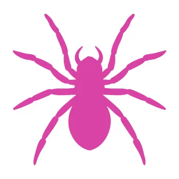 Samolepící dekorace Pavouk 015 (16 - růžová) SAMOLEPKA NA AUTO, NÁLEPKA, FÓLIE, POLEP, TUNING, VLASTNÍ TEXT, TISK, AUTOSAMOLEPKY.cz, POLEPY, OBRÁZEK, LOGO, 3D STICKERS