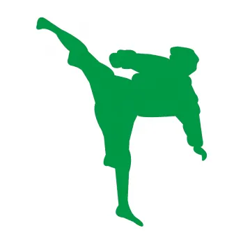 Polep vozidla Karate 009 levá (12 - zelená) SAMOLEPKA NA AUTO, NÁLEPKA, FÓLIE, POLEP, TUNING, VLASTNÍ TEXT, TISK, AUTOSAMOLEPKY.cz, POLEPY, OBRÁZEK, LOGO, 3D STICKERS