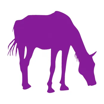 Samolepící dekorace Kůň 008 pravá (14 - fialová) SAMOLEPKA NA AUTO, NÁLEPKA, FÓLIE, POLEP, TUNING, VLASTNÍ TEXT, TISK, AUTOSAMOLEPKY.cz, POLEPY, OBRÁZEK, LOGO, 3D STICKERS