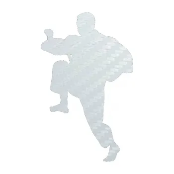 Polep vozidla SAMOLEPKA Karate 007 levá (51 - 3D karbon bílý) NA AUTO, NÁLEPKA, FÓLIE, POLEP, TUNING, VLASTNÍ TEXT, TISK, AUTOSAMOLEPKY.cz, POLEPY, OBRÁZEK, LOGO, SAMOLEPKY