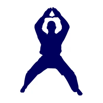 Polep vozidla Karate 003 pravá (23 - tmavě modrá) SAMOLEPKA NA AUTO, NÁLEPKA, FÓLIE, POLEP, TUNING, VLASTNÍ TEXT, TISK, AUTOSAMOLEPKY.cz, POLEPY, OBRÁZEK, LOGO, 3D STICKERS