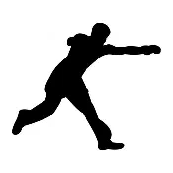 Polep vozidla Karate 004 pravá (01 - černá) SAMOLEPKA NA AUTO, NÁLEPKA, FÓLIE, POLEP, TUNING, VLASTNÍ TEXT, TISK, AUTOSAMOLEPKY.cz, POLEPY, OBRÁZEK, LOGO, 3D STICKERS