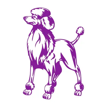 Polep vozidla SAMOLEPKA Pes 014 levá Pudl (14 - fialová) NA AUTO, NÁLEPKA, FÓLIE, POLEP, TUNING, VLASTNÍ TEXT, TISK, AUTOSAMOLEPKY.cz, POLEPY, OBRÁZEK, LOGO, SAMOLEPKY