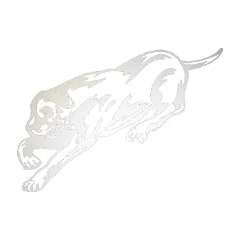 Polep vozidla SAMOLEPKA Pes 049 levá (82 - odrazková reflexní bílá) NA AUTO, NÁLEPKA, FÓLIE, POLEP, TUNING, VLASTNÍ TEXT, TISK, AUTOSAMOLEPKY.cz, POLEPY, OBRÁZEK, LOGO, SAMOLEPKY