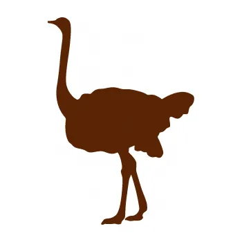 Samolepící dekorace Pštros 001 levá (15 - hnědá) SAMOLEPKA NA AUTO, NÁLEPKA, FÓLIE, POLEP, TUNING, VLASTNÍ TEXT, TISK, AUTOSAMOLEPKY.cz, POLEPY, OBRÁZEK, LOGO, 3D STICKERS