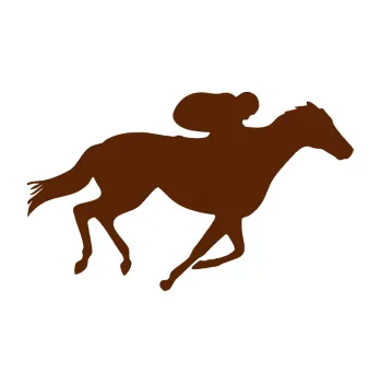 Samolepící dekorace Kůň 027 pravá závodí s jezdcem (15 - hnědá) SAMOLEPKA NA AUTO, NÁLEPKA, FÓLIE, POLEP, TUNING, VLASTNÍ TEXT, TISK, AUTOSAMOLEPKY.cz, POLEPY, OBRÁZEK, LOGO, 3D STICKERS