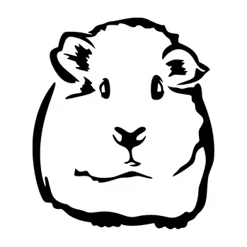 Samolepící dekorace SAMOLEPKA Morče 001 pravá (01 - černá) NA AUTO, NÁLEPKA, FÓLIE, POLEP, TUNING, VLASTNÍ TEXT, TISK, AUTOSAMOLEPKY.cz, POLEPY, OBRÁZEK, LOGO, SAMOLEPKY