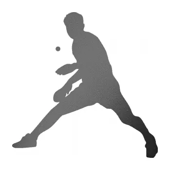 Polep vozidla Ping pong 002 levá (41 - grafitová metalíza) SAMOLEPKA NA AUTO, NÁLEPKA, FÓLIE, POLEP, TUNING, VLASTNÍ TEXT, TISK, AUTOSAMOLEPKY.cz, POLEPY, OBRÁZEK, LOGO, 3D STICKERS