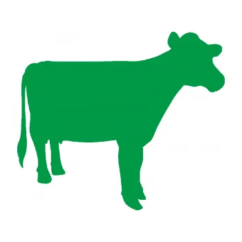 Samolepící dekorace Kráva 001 pravá (12 - zelená) SAMOLEPKA NA AUTO, NÁLEPKA, FÓLIE, POLEP, TUNING, VLASTNÍ TEXT, TISK, AUTOSAMOLEPKY.cz, POLEPY, OBRÁZEK, LOGO, 3D STICKERS