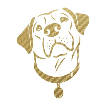 Polep vozidla SAMOLEPKA Pes 119 levá Labrador (59 - 3D karbon zlatý) NA AUTO, NÁLEPKA, FÓLIE, POLEP, TUNING, VLASTNÍ TEXT, TISK, AUTOSAMOLEPKY.cz, POLEPY, OBRÁZEK, LOGO, SAMOLEPKY